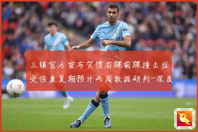 三镇官方宣布贺惯右踝前踝撞击症受伤康复期预计两周数据研判-深度解析
